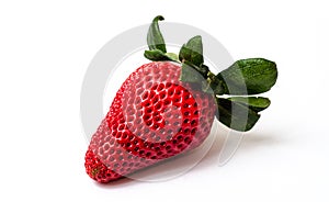 Strawberry on white
