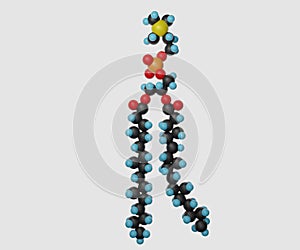 3D ball structure of phospholipid molecules photo