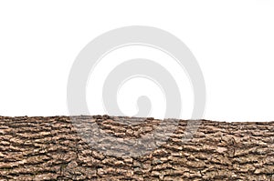 Isolated stump/ stub bark with wooden texture photo