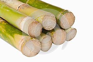 Isolated sugar cane