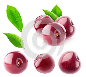 Isolated sweet cherries bundle