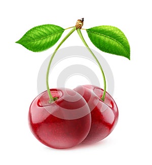 Isolated sweet cherries