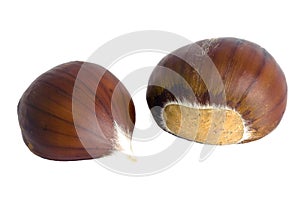 Isolated sweet chestnut (Castanea sativa) fruits photo