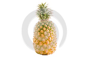 Isolated Taiwanese pineapple, fruit