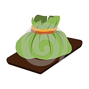 Isolated tamale icon Traditional Colombian food Vector