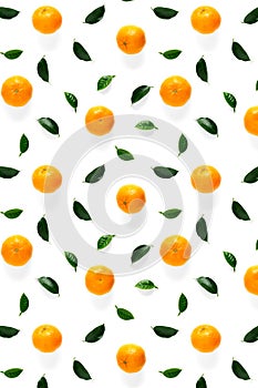 Isolated tangerine citrus collection background with leaves. Tangerines or mandarin orange fruits on white background. mandarine