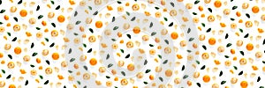 Isolated tangerine citrus collection background with leaves. Tangerines or mandarin orange fruits on white background. mandarine