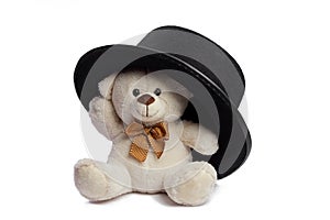 Isolated teddy bear with black hat