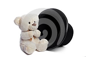 Isolated teddy bear with black hat