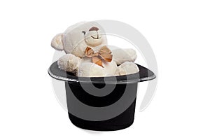Isolated teddy bear with black hat