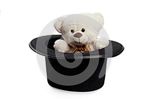 Isolated teddy bear with black hat