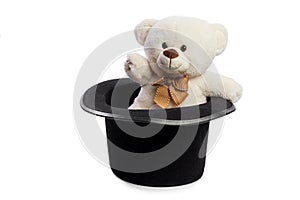 Isolated teddy bear in a black hat