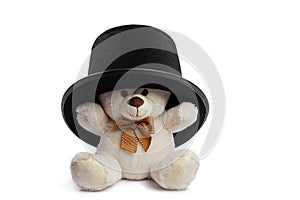 Isolated teddy bear with black hat