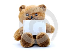 Isolated teddy with blank sheet