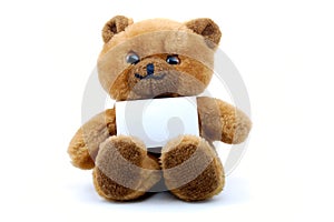 Isolated teddy with blank sheet