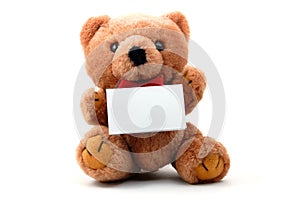 Isolated teddy with blank sheet