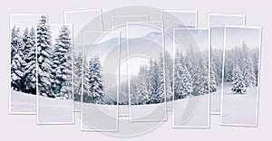 Isolated ten frames collage of picture of snowy mountain forest.