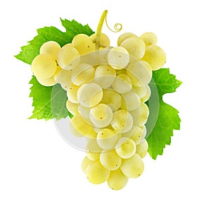 Isolated Thompson white grapes