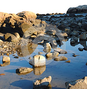 Isolated Tidal Pool