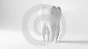 Isolated tooth model