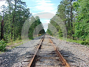 Isolated Train Tracks in Woods