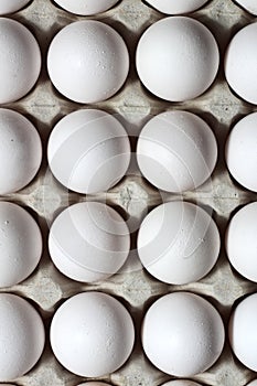 An isolated tray of eggs from recycled materials with white eggs on a white background. Top view photo