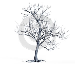 Isolated tree without leaf on white background with clipping, 3D illustration rendering