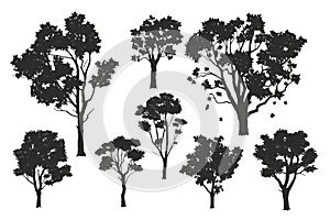 Isolated tree silhouettes. Black drawing of forest plants. Park scene elements. Graphic arts for landscape background