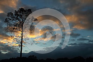 Isolated Tree During Sunset With Clouds