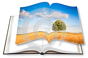 Isolated tree in a tuscany wheatfield - Italy - 3D rendering of an opened photobook isolated on white