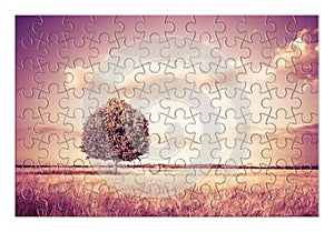 Isolated tree in a Tuscany wheatfield in shape of puzzle - Tuscany - Italy - toned image