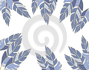 Isolated tropical blue leaves vector design