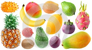 Isolated tropical fruits bundle