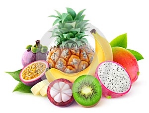 Isolated tropical fruits