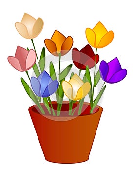 Isolated Tulips Flowers in Pot