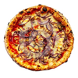 Isolated tuna and onion neapolitan pizza on white photo