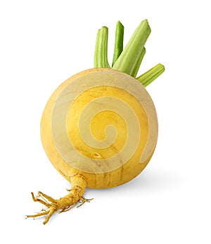 Isolated turnip