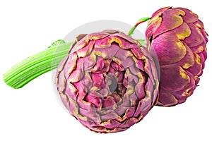 Isolated two artichoke on white background