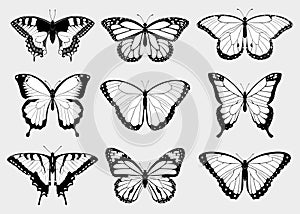 Isolated vector collection of top view black and white butterfly