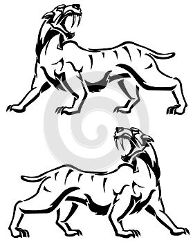 Saber Tooth White, Side View photo