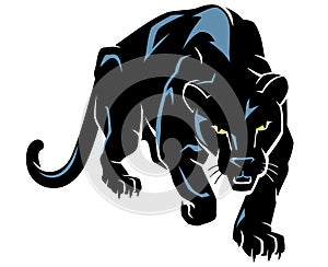 Black Panther Predator Crouching, Hunting photo