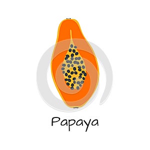 Isolated vector papay icon. Orange fruit