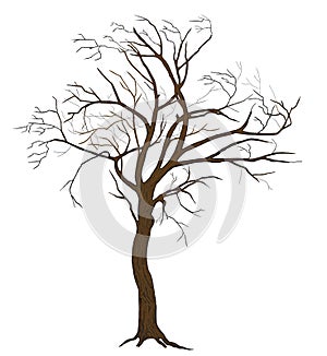 Isolated vector tree for large wide-format printing