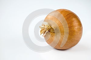 Isolated Vegetable - Onion