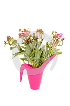 Isolated vertical shot of pink roses in a pink plastic vase in front of a white background