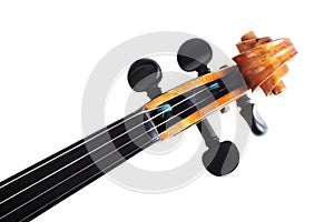 Isolated violin scroll