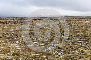 Isolated volcanic landscape at snaefellsnes peninsula. photo