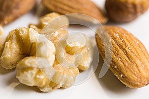 Isolated walnuts and almonds in macro view
