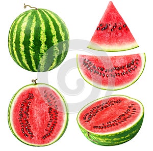 Isolated watermelon collection