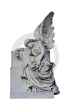 Isolated Weeping Angel